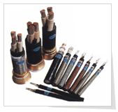 ʯ������Ȼ���ÿ��ƹܾ�