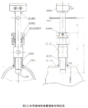 插入式電磁流量計(jì)不帶球閥結(jié)構(gòu)圖
